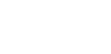 world horse welfare logo