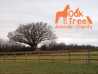 Oak Tree Animals' Charity