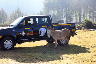 WVS India